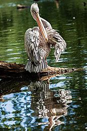 年度游戏《邪恶冥刻》确定登陆PS4和PS5 发售日期待定